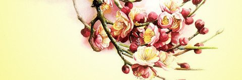 toilabvv08's profile banner image