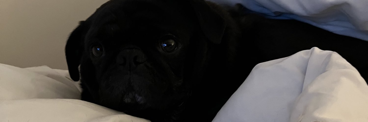 Brigadier ( the nut job )and Ernie his new bro. banner