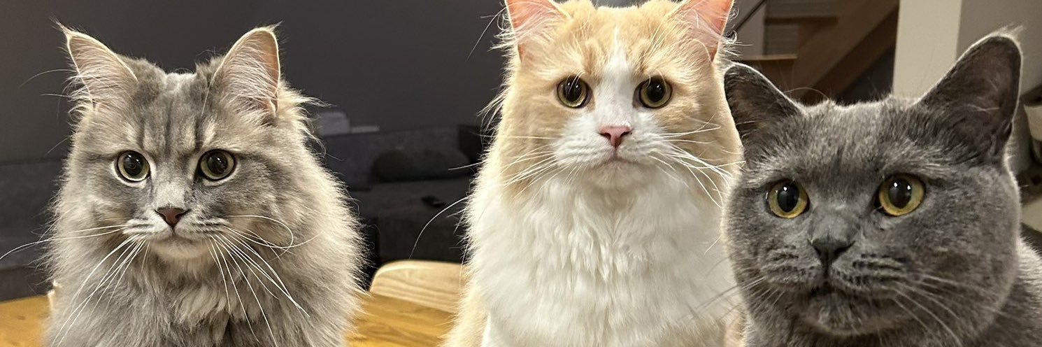 グリとグラとジル🐾 banner