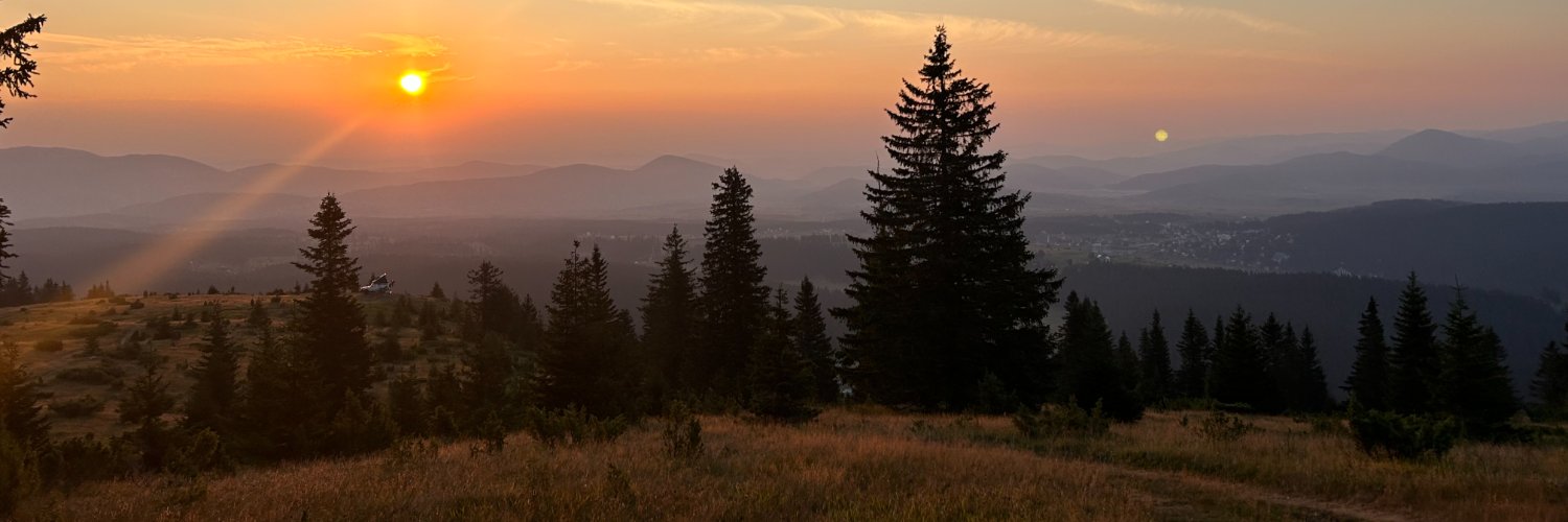 Lillian (Lilly) Boxman-Shabtai banner