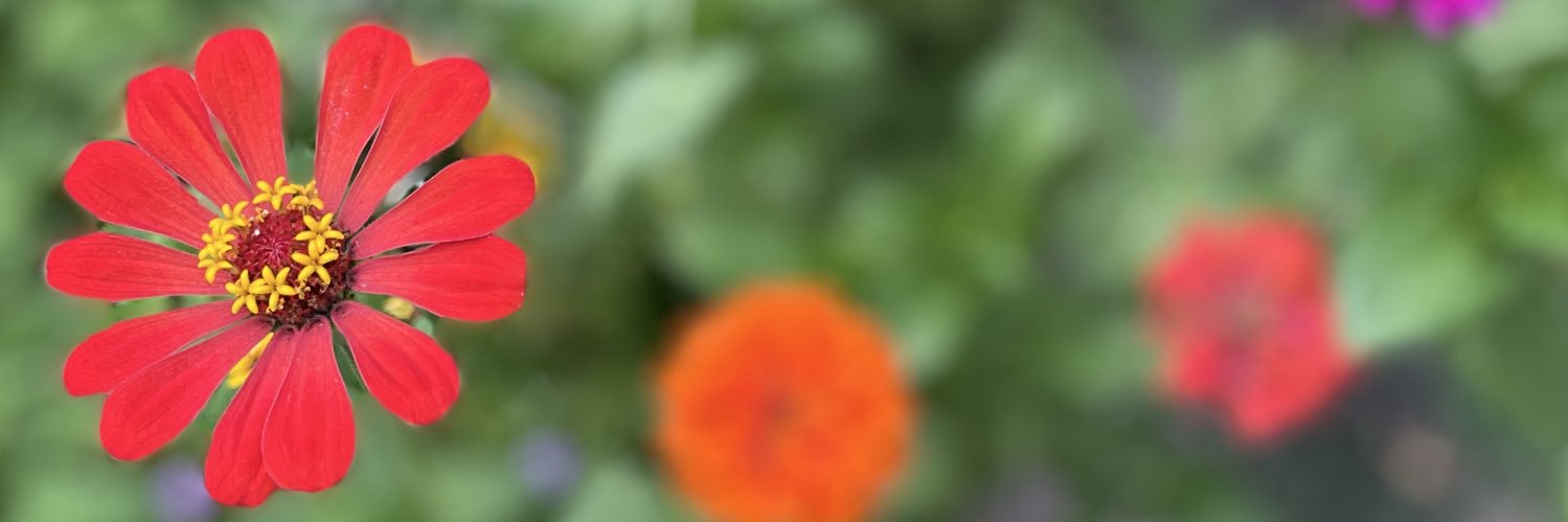 megosage10's profile banner image