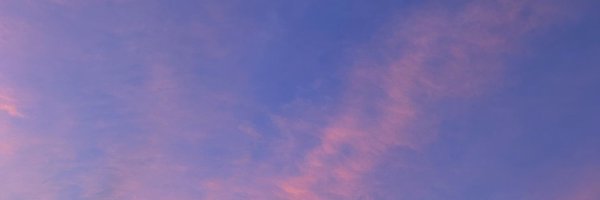 deosangsang Profile Banner