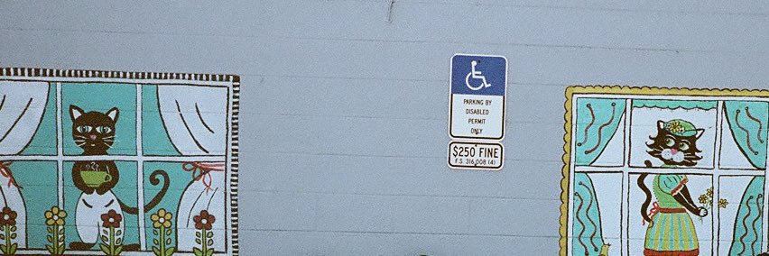 Chris Mannella banner