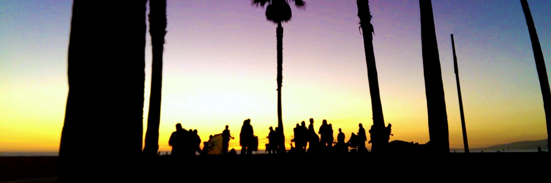 willadamskeane's profile banner image