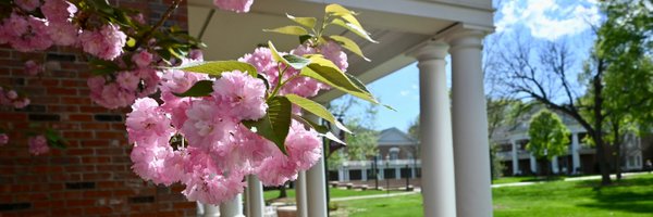elonuniversity Profile Banner