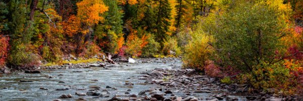 JTaylorForMAGA Profile Banner