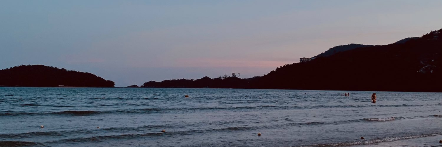 juuusilvq's profile banner image