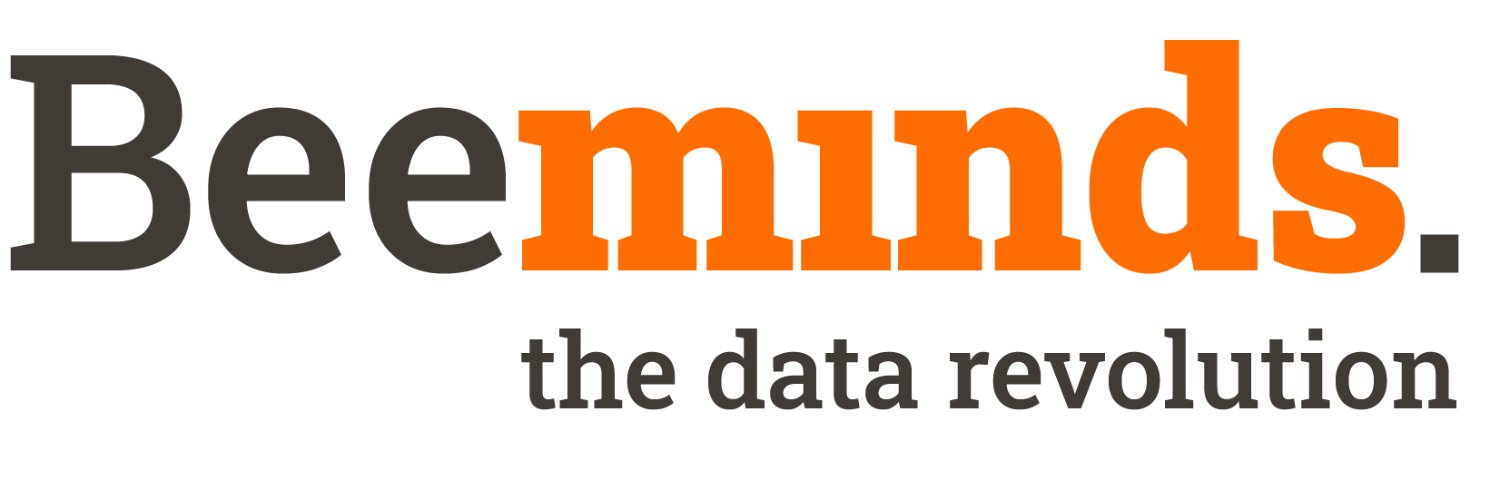 Beeminds - Data maturity. Simplified. banner