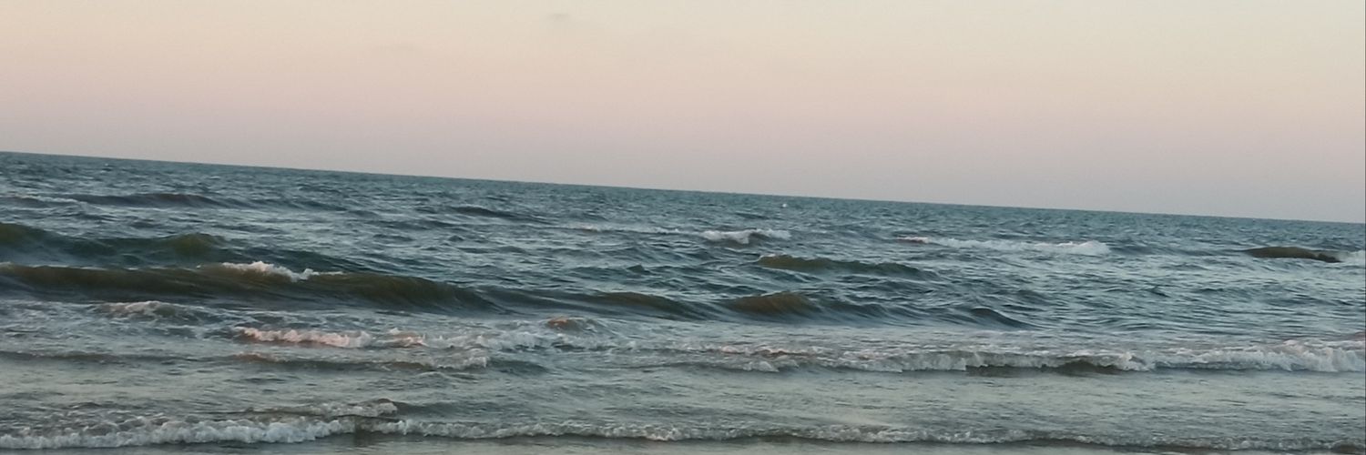AliMagdi94's profile banner image