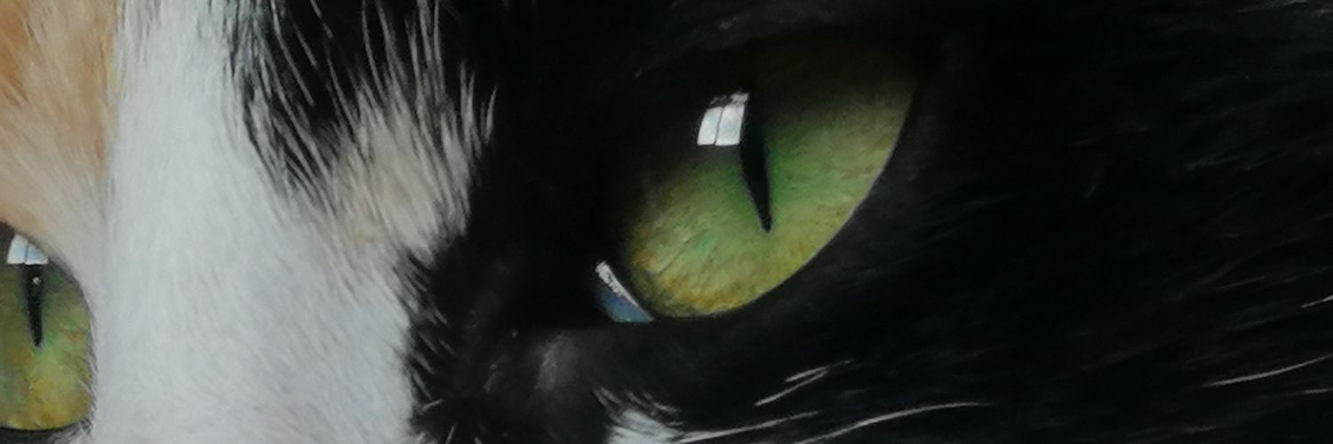 KRZ banner