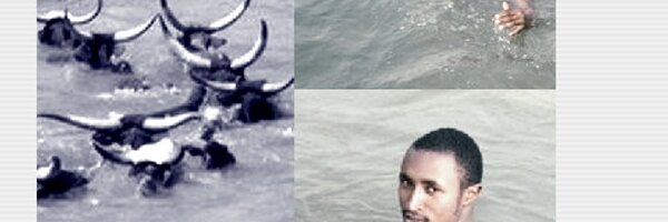 haneefdin Profile Banner