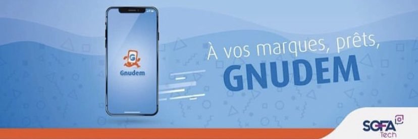 Gnudem banner