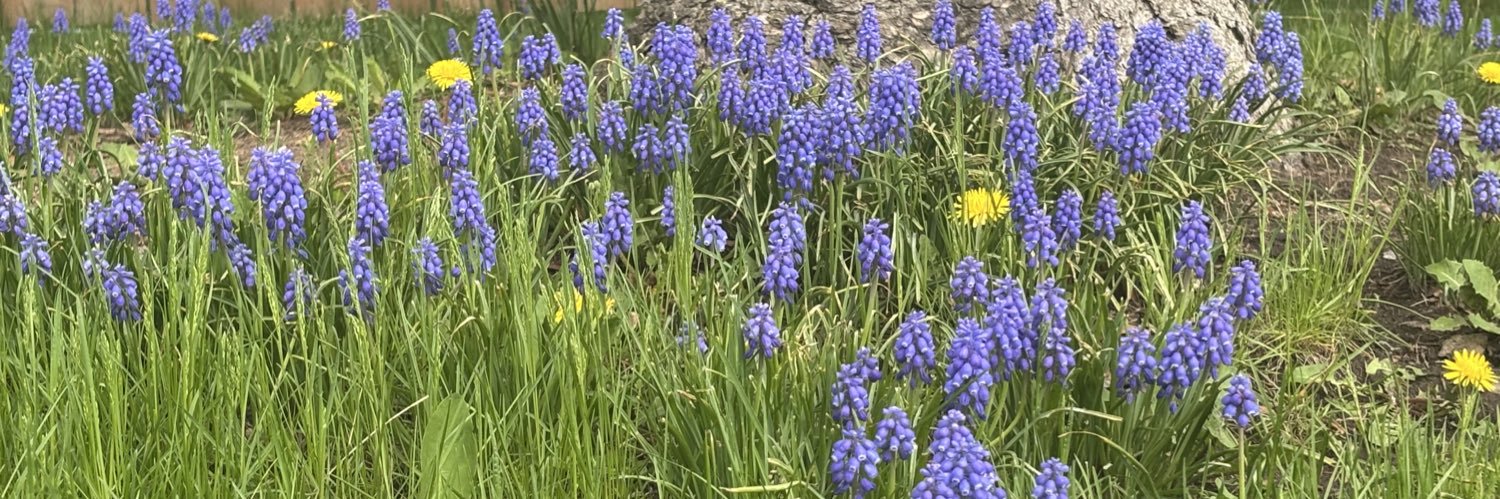 MichaelCarter🌴 banner