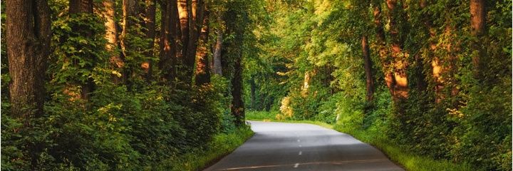 MeiLyn131's profile banner image
