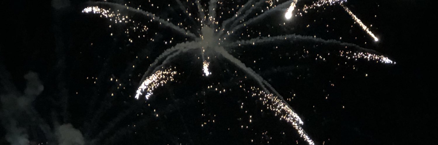 mandyluds's profile banner image
