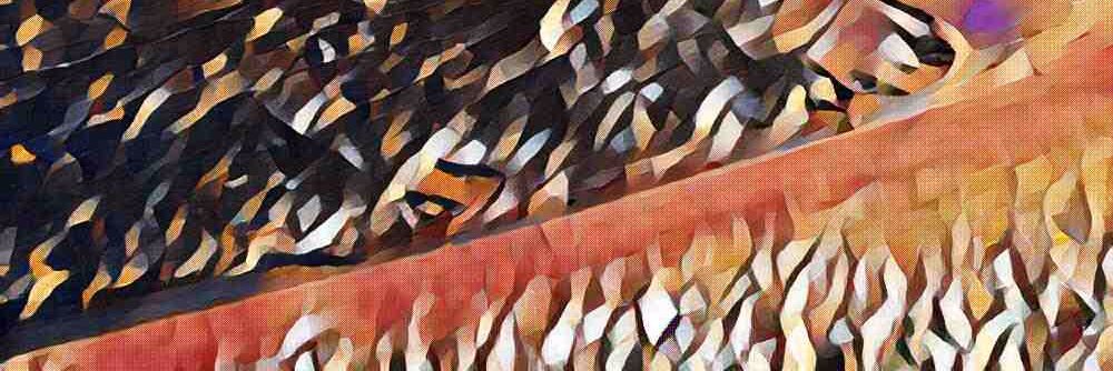 Vitorhdar's profile banner image
