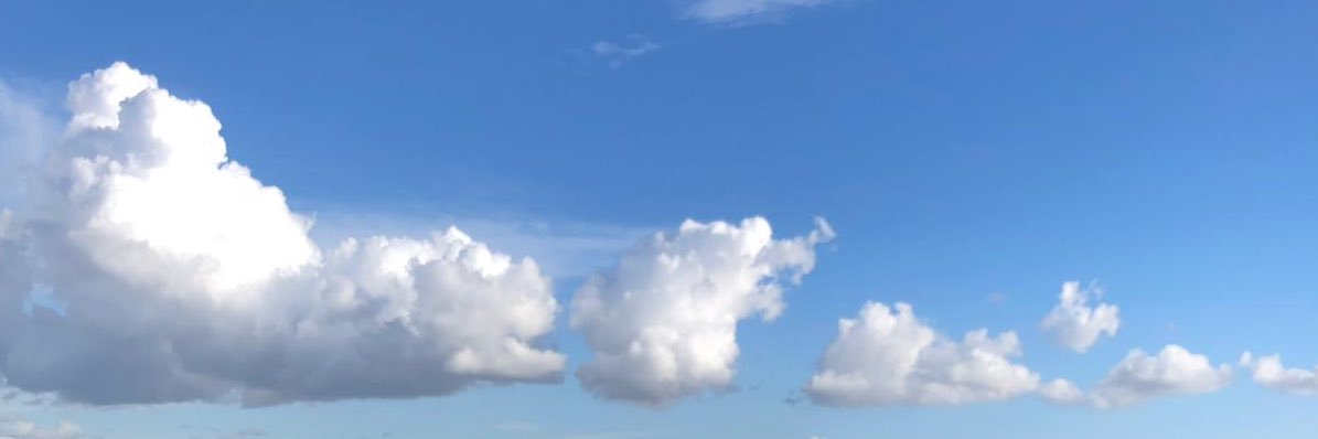 Ida Sandes banner
