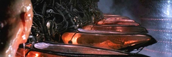 b14144993 Profile Banner