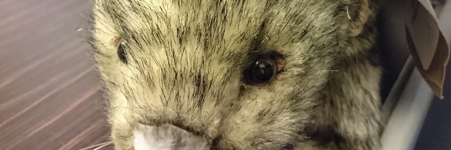philipstorry's profile banner image