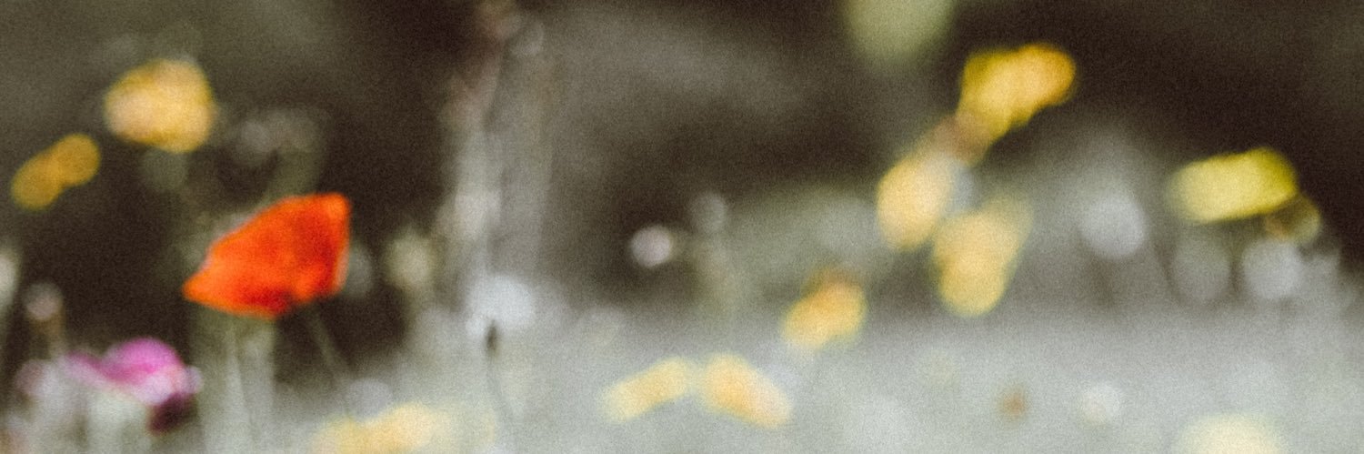 raquelxmarques's profile banner image