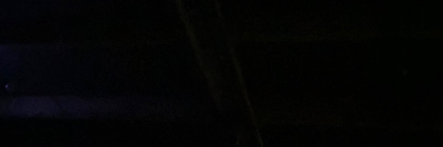 VivirSelvas's profile banner image