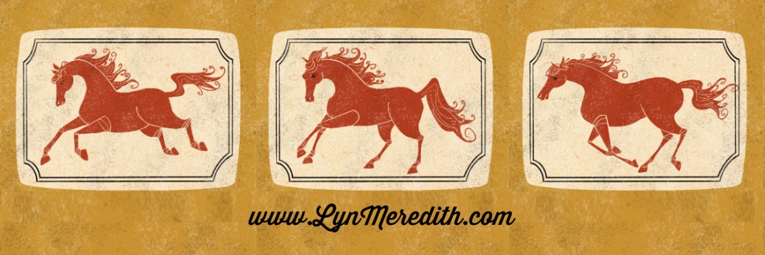 Lyn Meredith banner