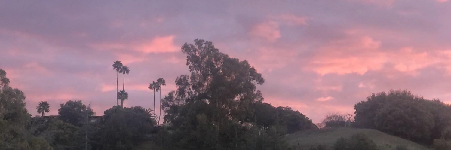 racheldonnellly's profile banner image