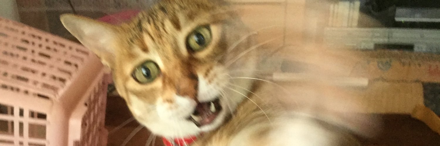 ももっこ banner