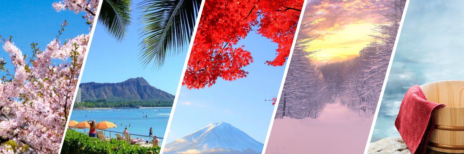GPointTravel's profile banner image