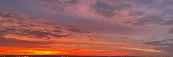 SwanMom312 Profile Banner