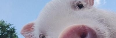 DhioV's profile banner image
