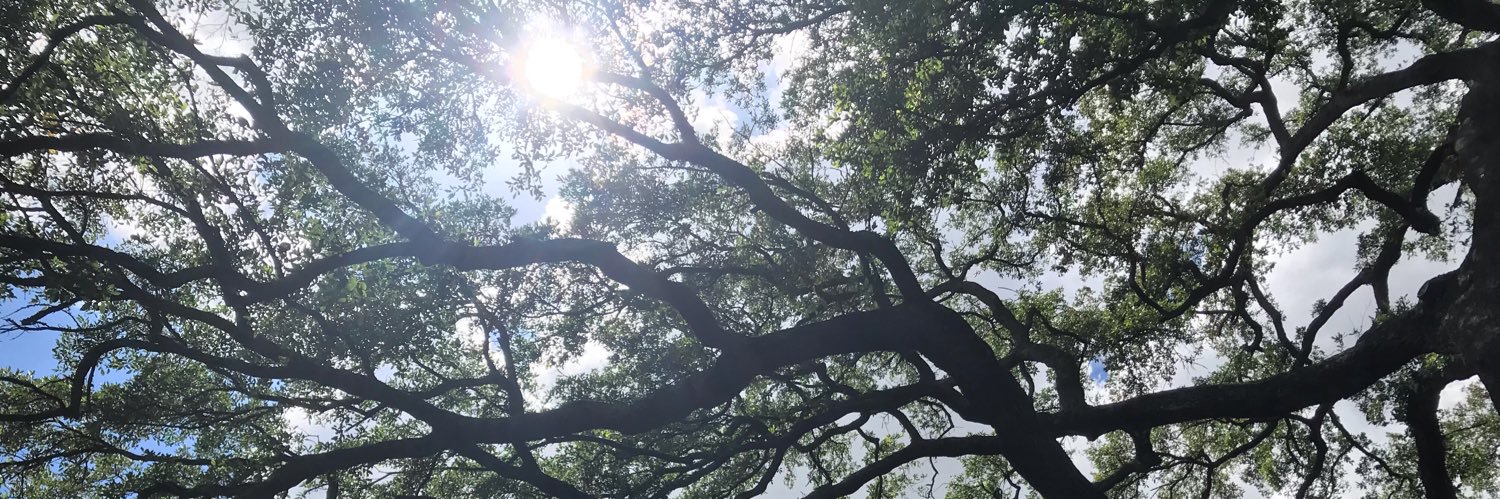 Brittany Lockman banner