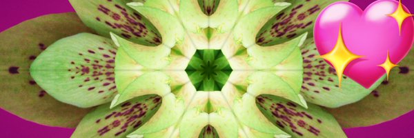 JeremyA81743050 Profile Banner