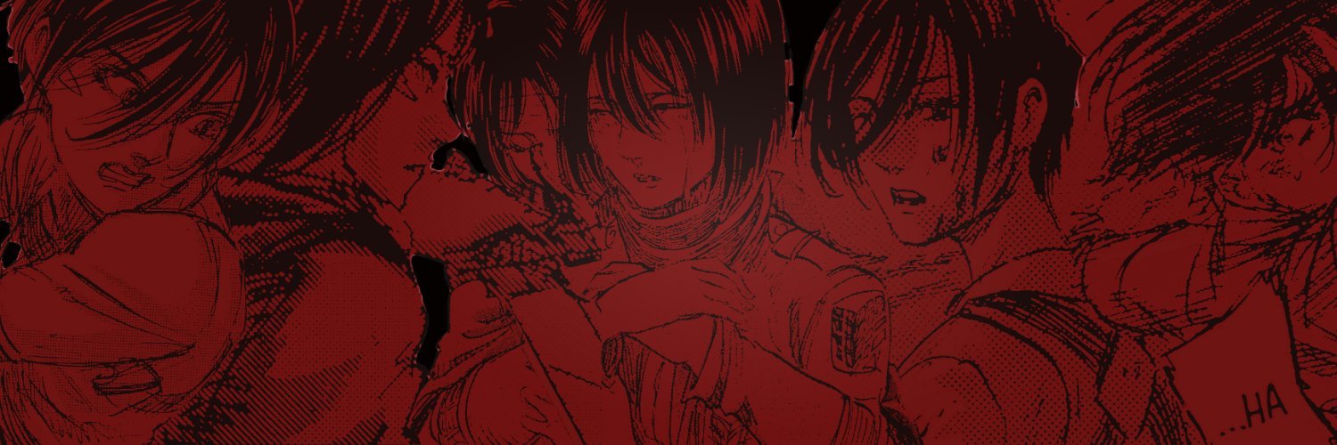mikasa banner