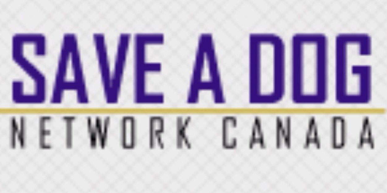SaveADogNetwork's profile banner image