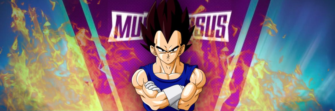 Vegeta 4 mvs banner
