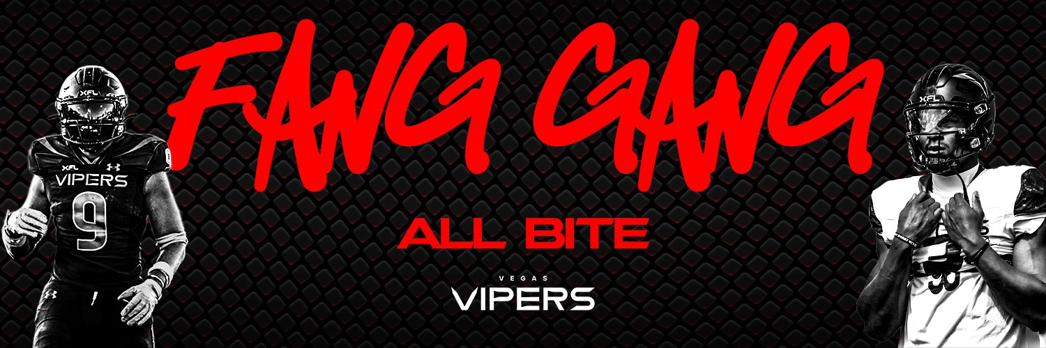 Vegas Vipers Profile Banner