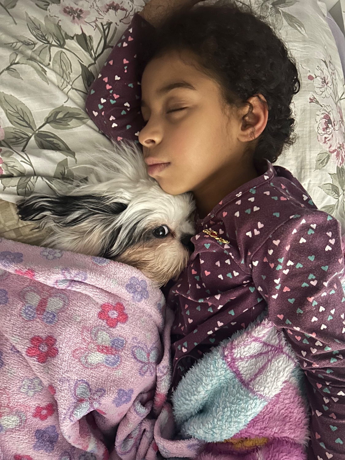 julsmelo's profile banner image