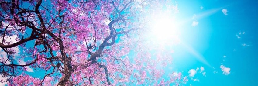 Manar_Anter's profile banner image