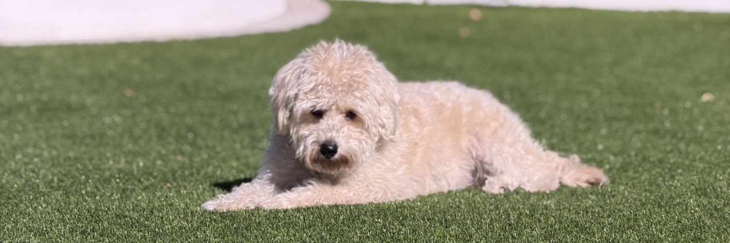 MattAZ🌵🏠 banner