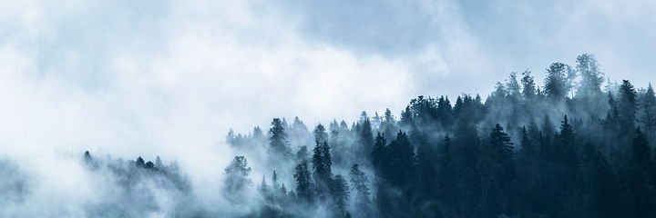 FreeThinkingLass banner