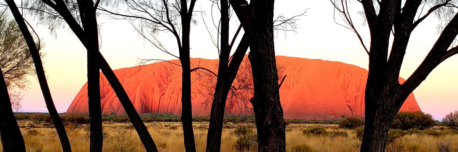 Bigfoot's Dick banner