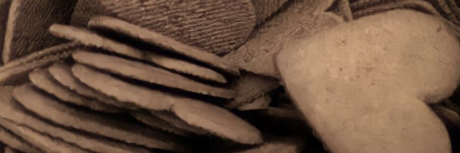 2313VX's profile banner image