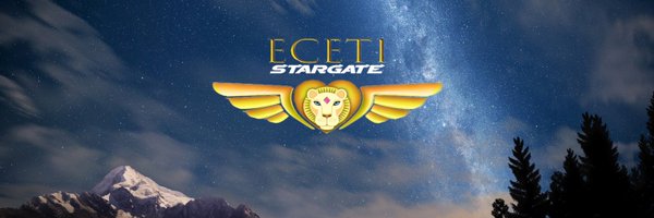 ECETIStargate Profile Banner