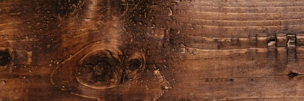 allie251 Profile Banner