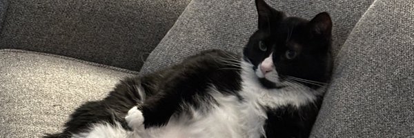 PumpiSmurf Profile Banner