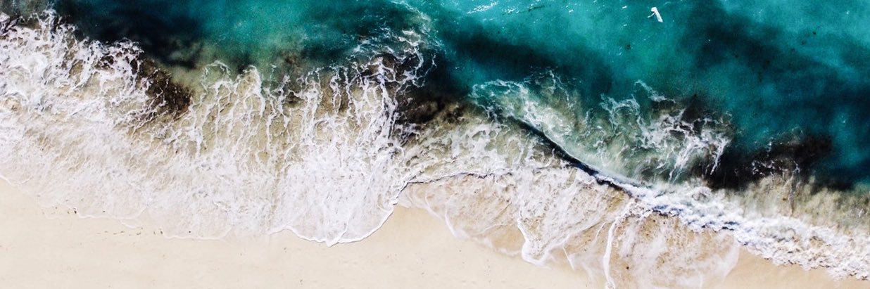 Tori Santiago banner