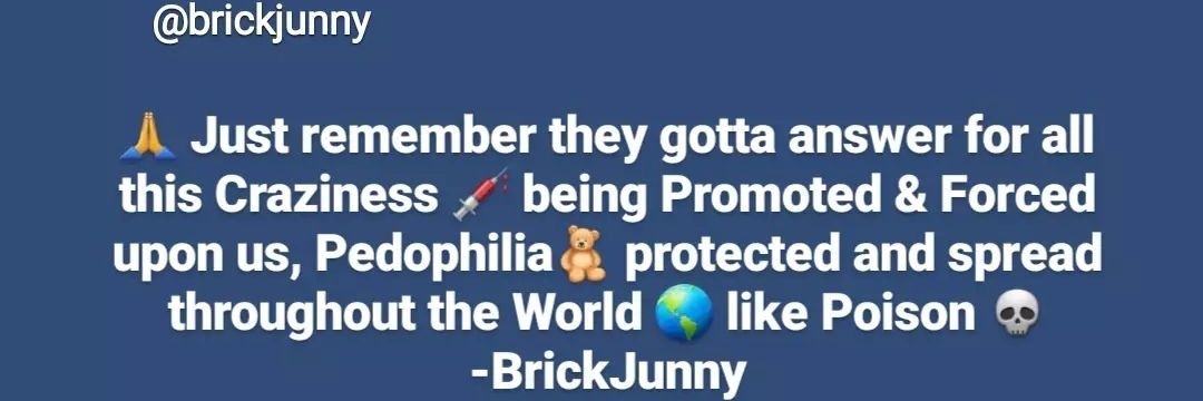 BrickJunny's profile banner image
