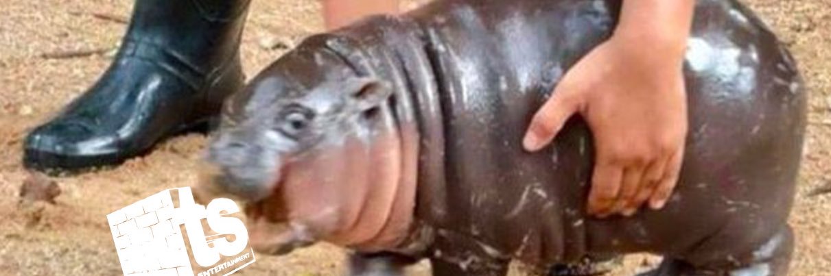 Third String Entertainment banner