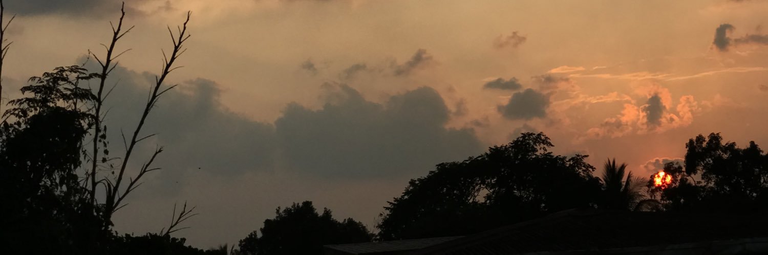 aabinales's profile banner image